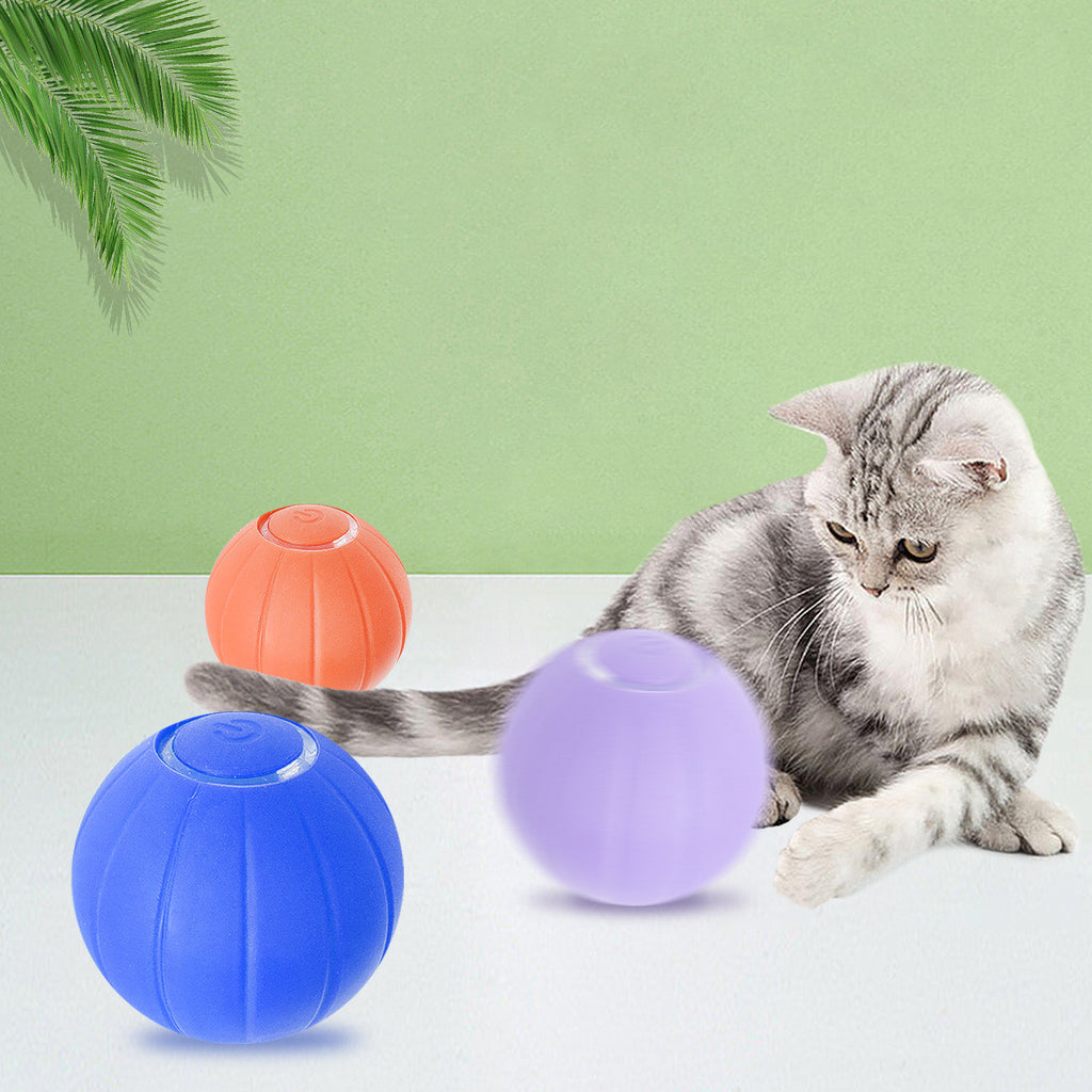 Bounce & Bite Silicone Ball
