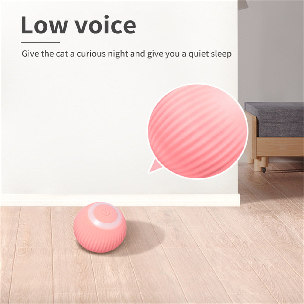 GravityRoam Smart Rolling Ball