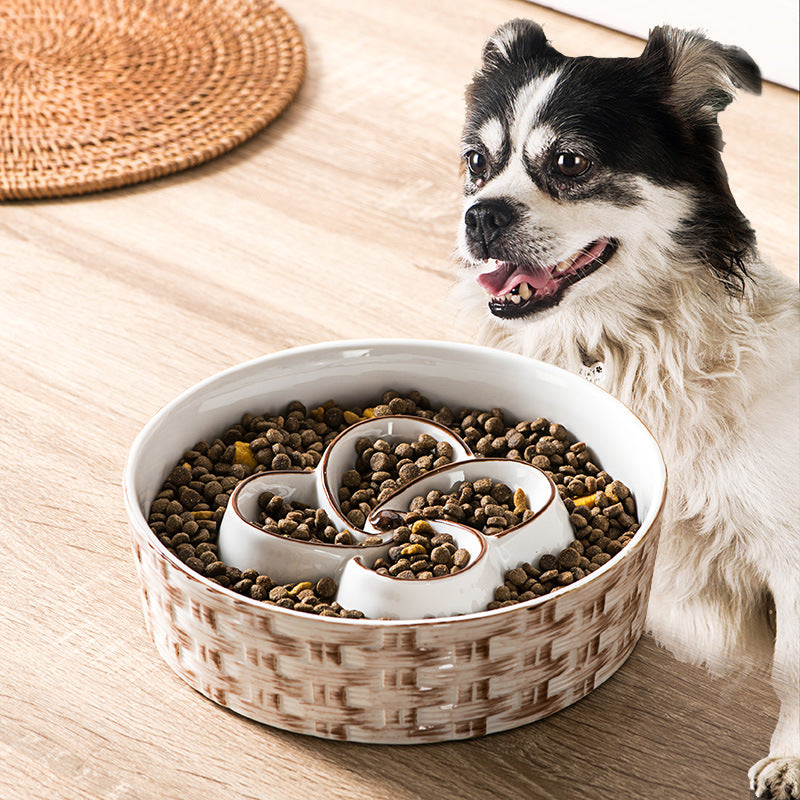 Slow Feeder Dog Bowl