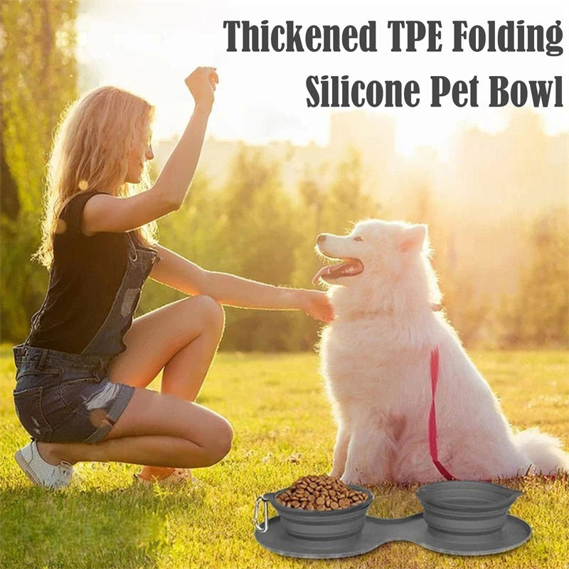 Foldable Rubber Double Bowl for Dogs & Cats