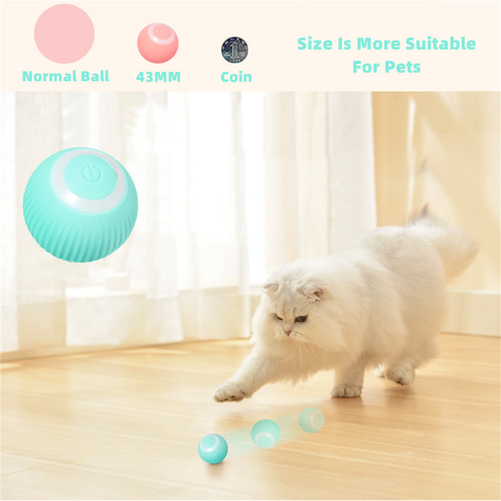 GravityRoam Smart Rolling Ball