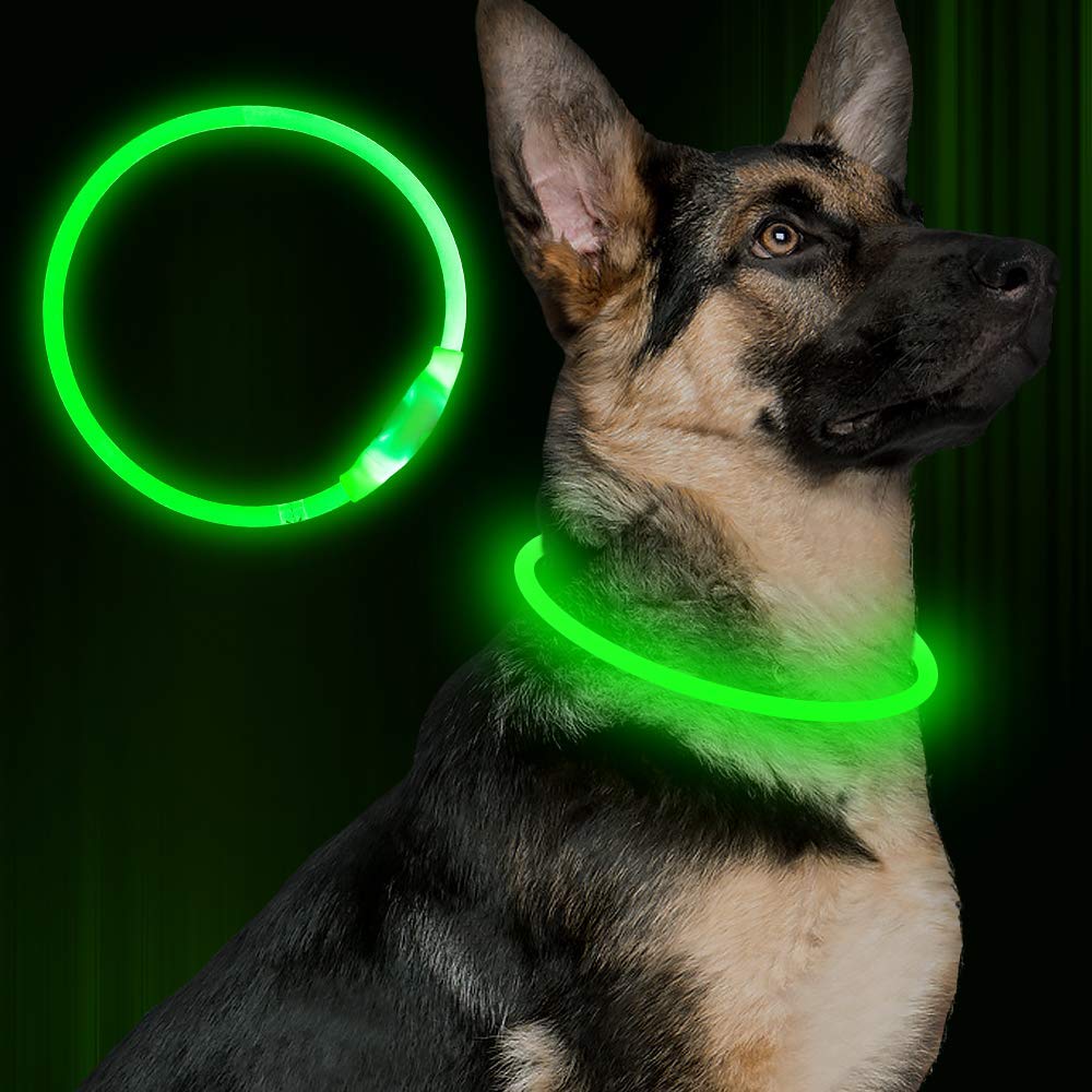 USB Rechargeable LED Safety Collar for Night Walks