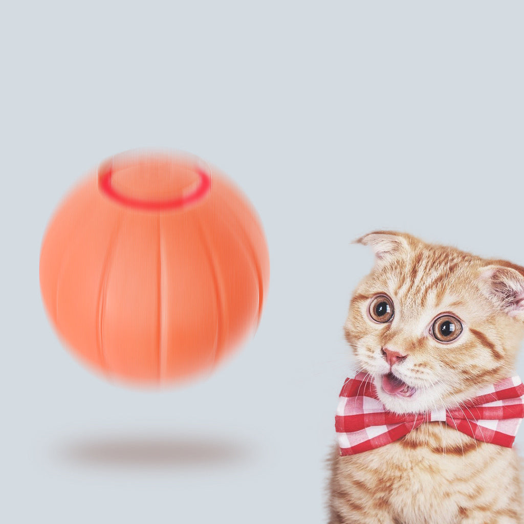 Bounce & Bite Silicone Ball
