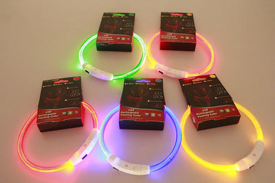 USB Rechargeable LED Safety Collar for Night Walks