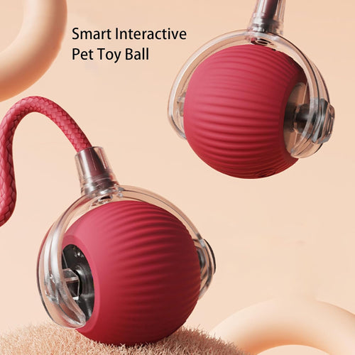 360 Smart Pet Ball