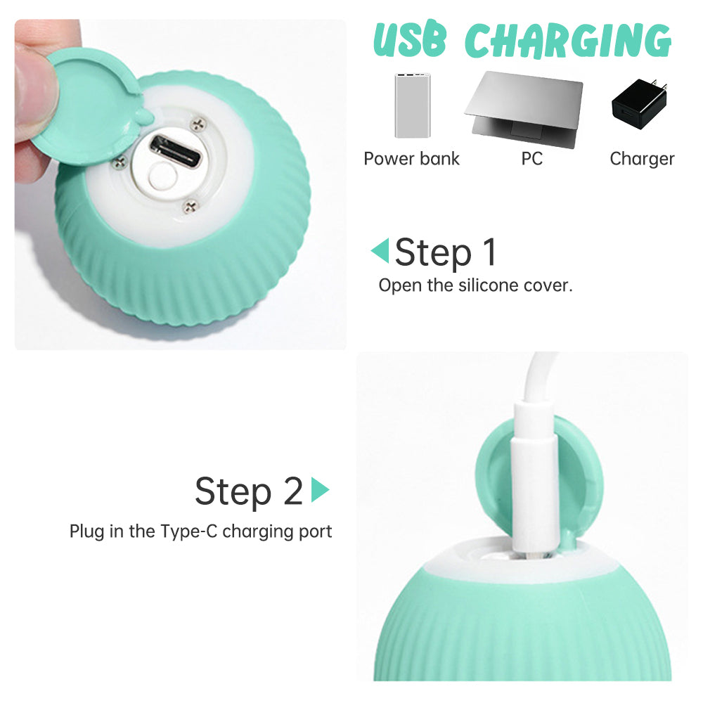 GravityRoam Smart Rolling Ball