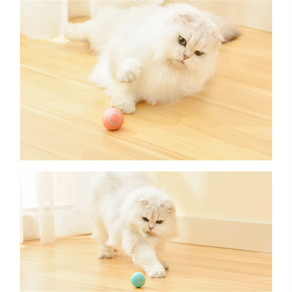GravityRoam Smart Rolling Ball