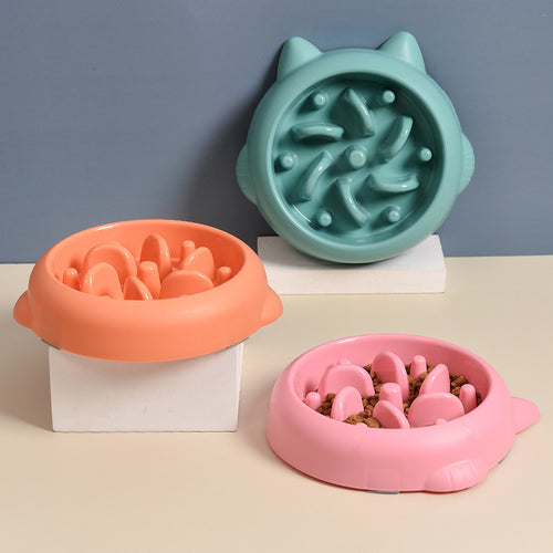 Anti-Gulping Slow Feeder Bowl for Dogs & Cats